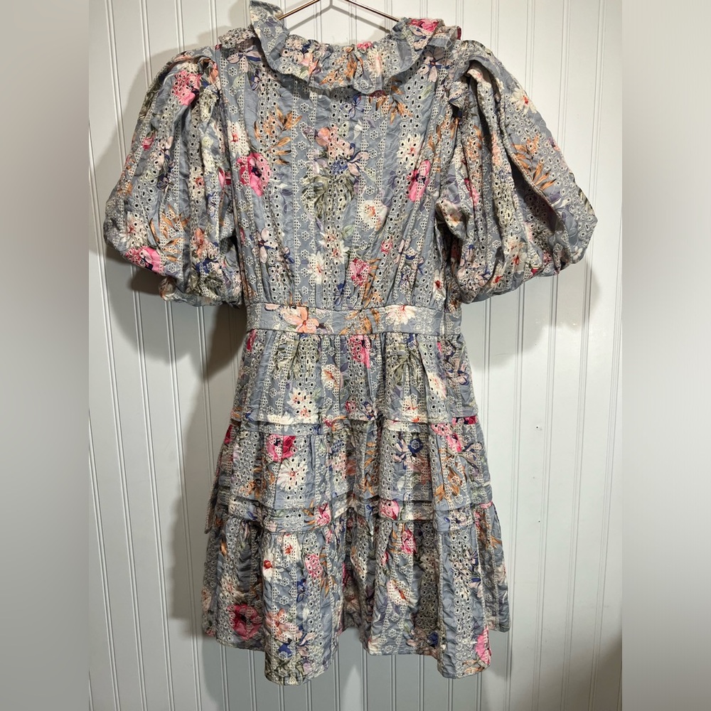 Dance & Marvel Tier Embroidered Spring Mini Dress - Picture 8 of 14